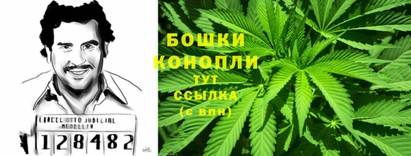 PSILOCYBIN Алексеевка