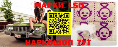 мяу мяу мука Будённовск