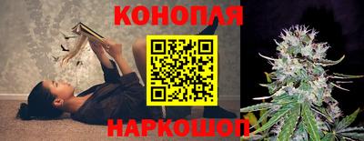 мяу мяу мука Будённовск