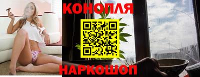 мяу мяу мука Будённовск