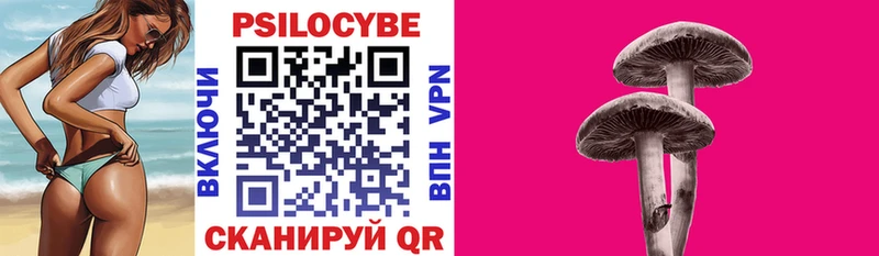 блэк спрут сайт  Волгоград  Псилоцибиновые грибы прущие грибы 